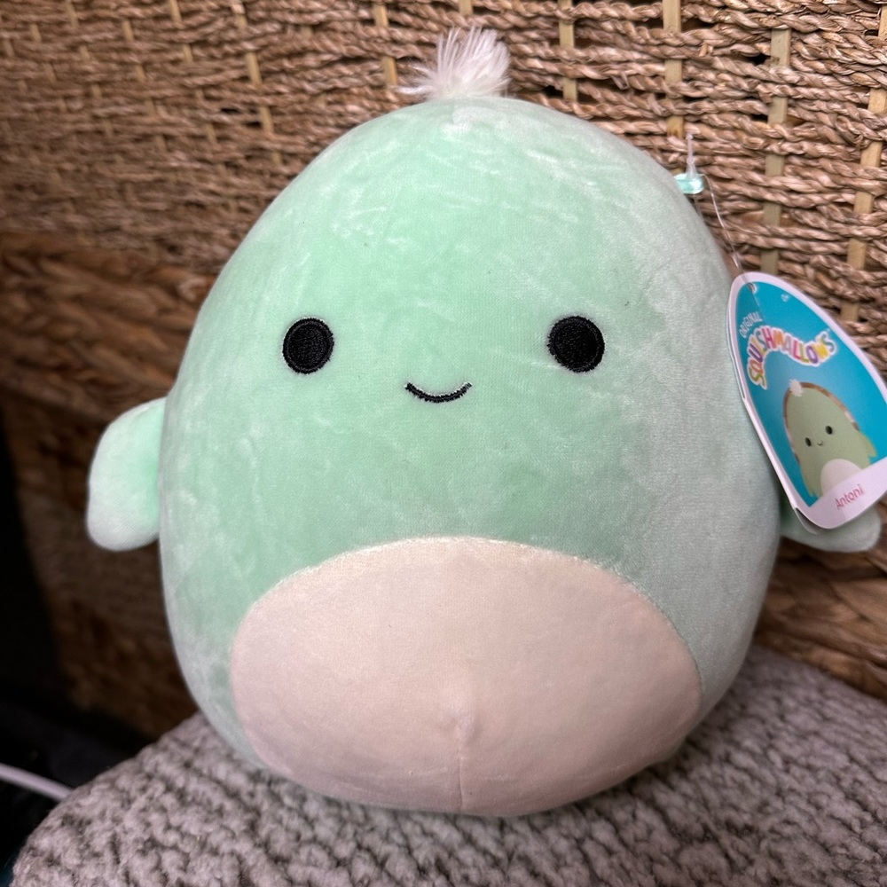 Antoni The Turtle Squishmallow 8”
